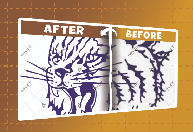 BEFORE AFTER VECTOR (19)